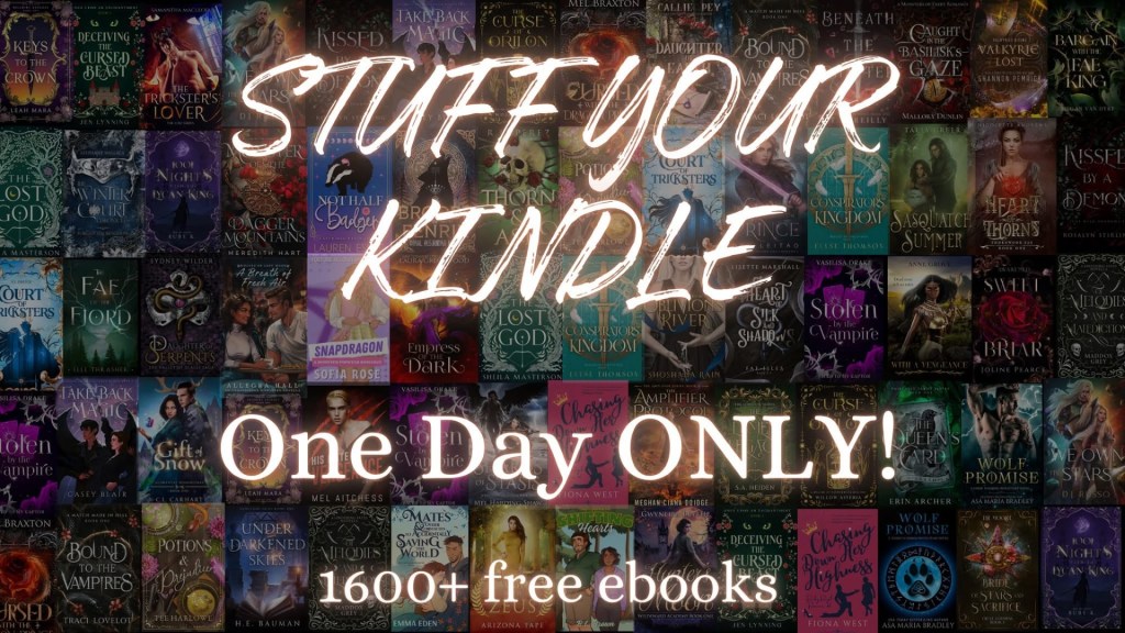  stuff your kindle image